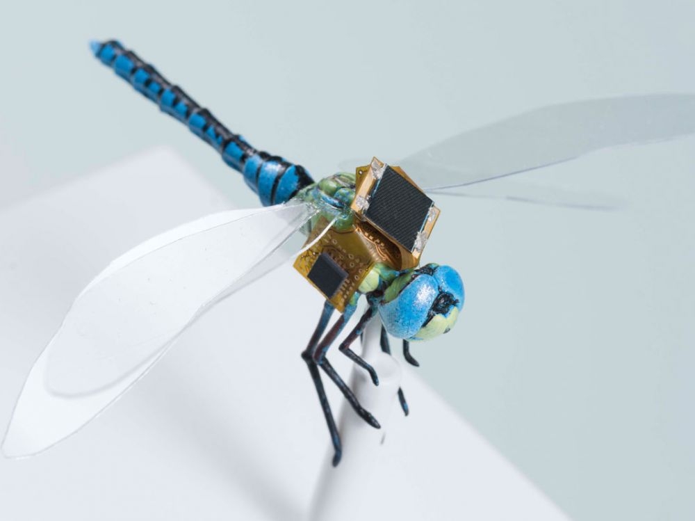 Un Drone Libellule ?